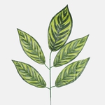 T.T. Green (F161D-01)