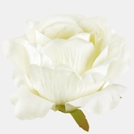 Cream/Lt. Yellow (W697-30)