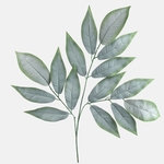Green (F220-01)