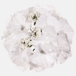 White (W696-06)