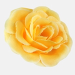 Yellow (W290-05)