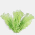 Green (SD006K-04)