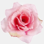 T.T. Pink/Green Edge (W087-12)