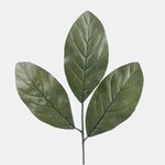 Green (A158-04)