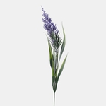 Violet (A782K-04)