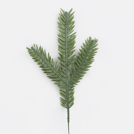 Spruce twig