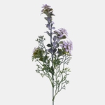 Lilac (A788K-01)