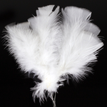 White (SD006K-01)