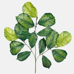 Green (F031)