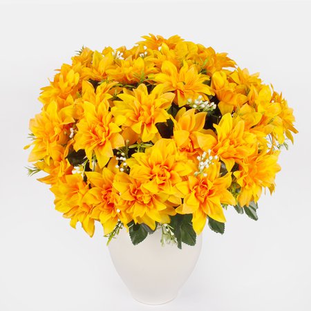 Dahlia x 36
