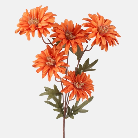 Dahlia