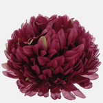 Dk. Burgundy (W710-10)