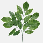 Green (F189-01)