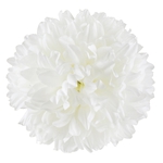 Cream (W001-02)