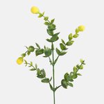 Yellow (A494K-01)
