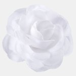 Pure White (W290B-02)