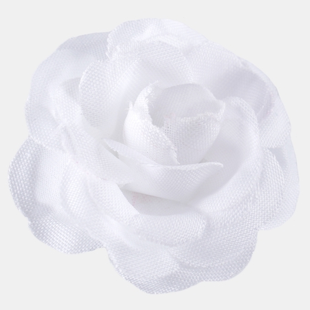 Mini rose