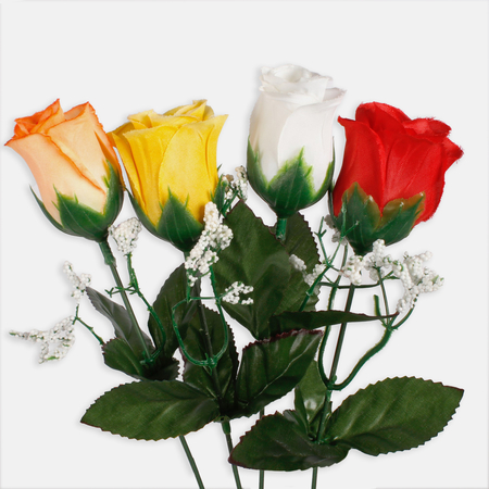 Rose in bud