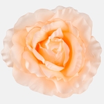 Peach (W544-12)