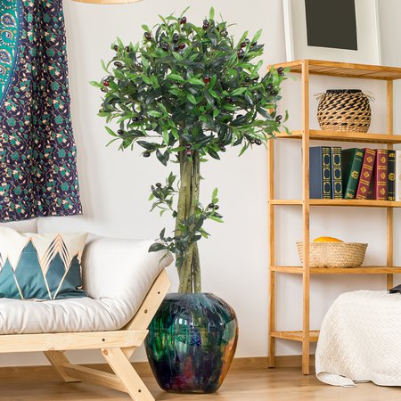 Olive tree 1.50 m