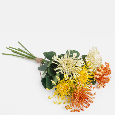 Pincushion Protea