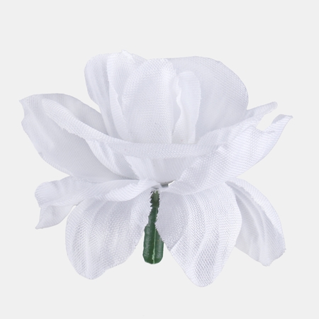 Mini rose