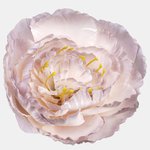 Pink/Gray (W689-11)