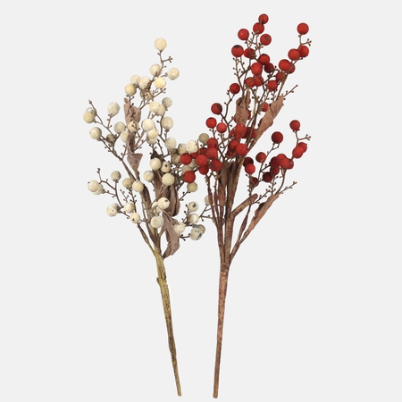 Autumn berry