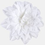 Cream (W536-30)