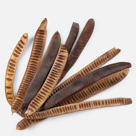 Machete step fruit x 10 pcs