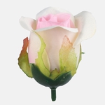 Cream/Peach Center (W725-06)