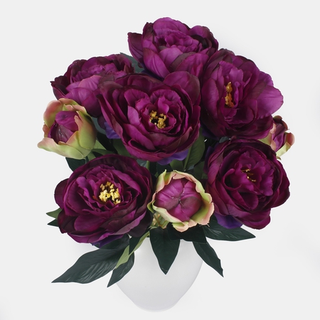 Peony
