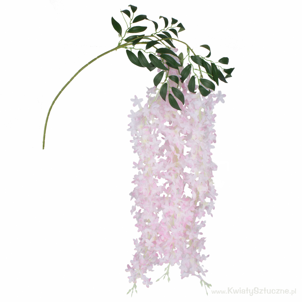 wisteria twig wisteria twig