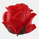 Pure Red (W732-03)