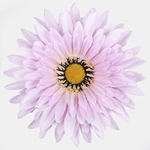 Pink (W539-07)