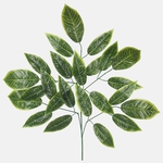 Green/Lt. Green Edge (F187-01)