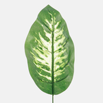 Green (A243)