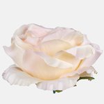 Cream/Lt. Pink Edge (W708-21)