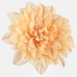 Yellow (W536-04)